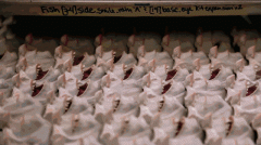 它是莱卡工做室做过最大的人偶：身